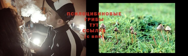 стаф Армянск